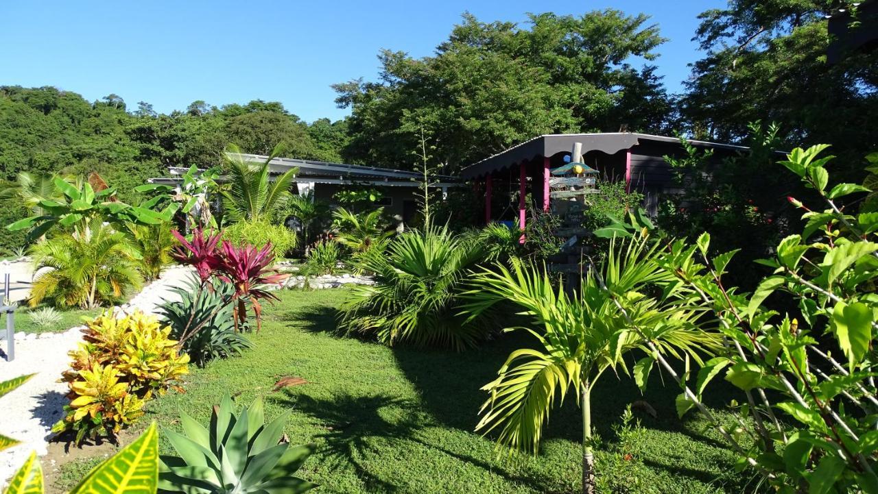 Bed and Breakfast La Colina Pura Vista à Playa Bejuco  Extérieur photo